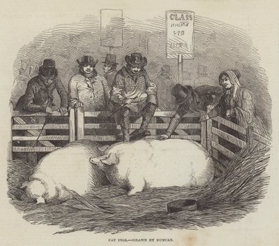 Exposition de bétail du Smithfield Club - English School